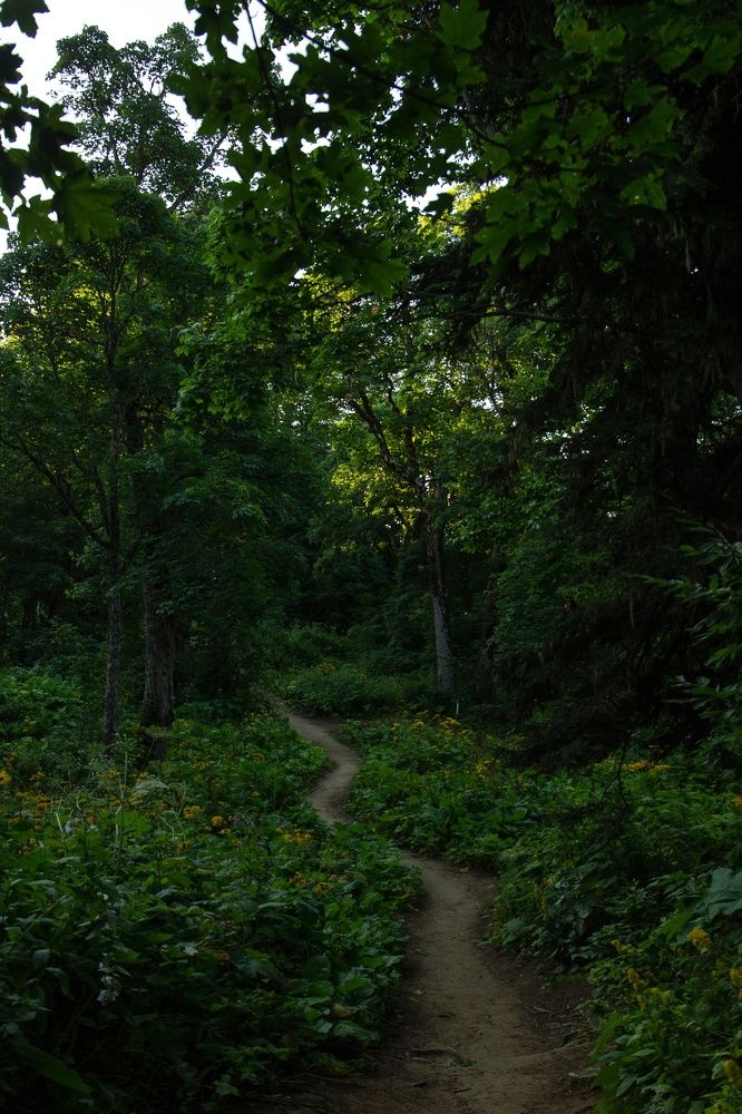 Фотография автора Екатерина Першина