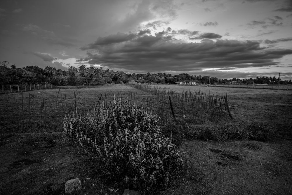 Photograph by Pouyan Safavi