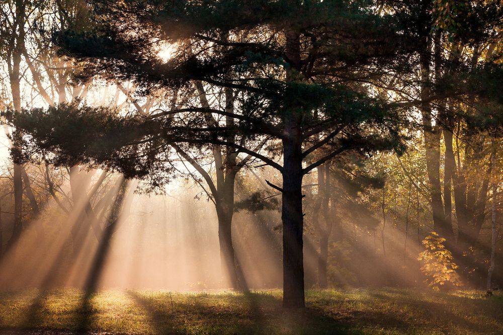 Photograph by Дмитрий