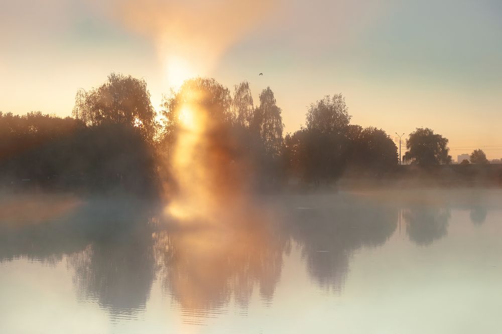 Photograph by Дмитрий