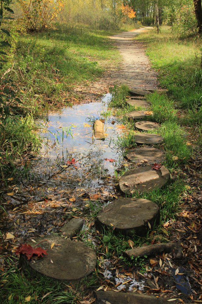 Photograph by Ильсияр Григорьева