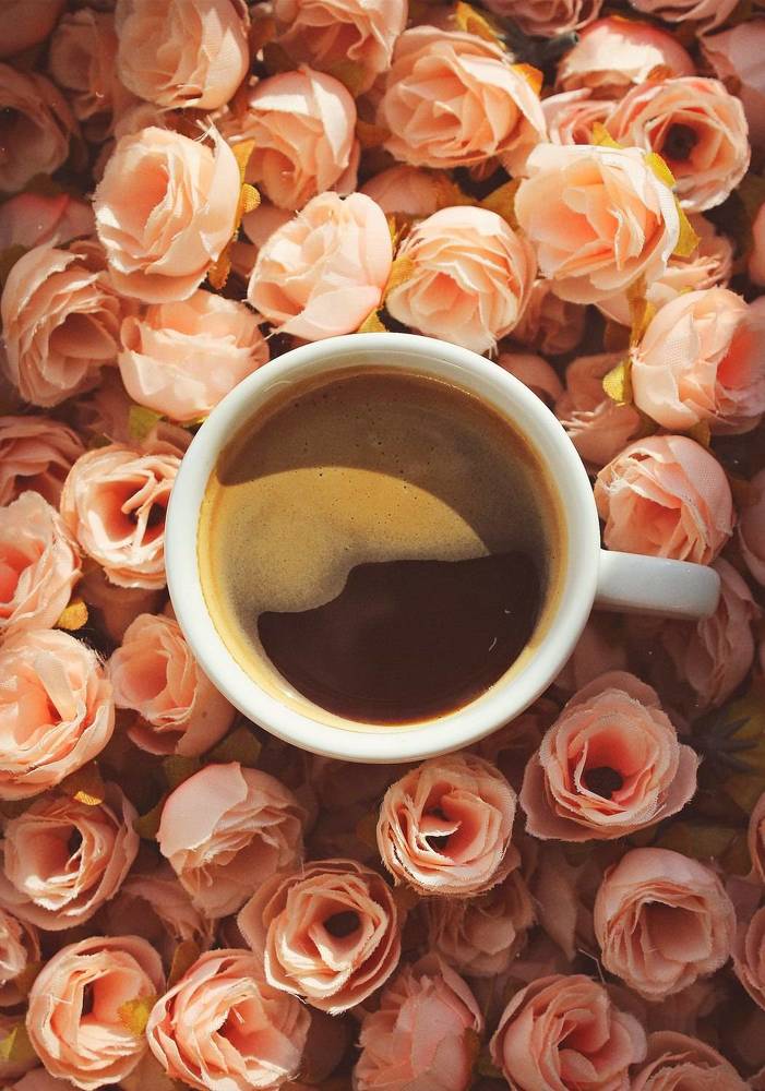 Photograph by Евгения Журавлева