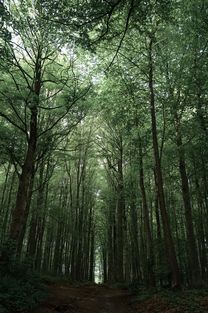 Photograph by Anya Lo