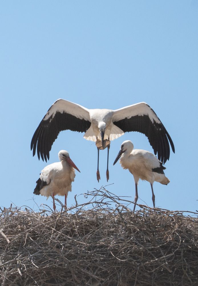 Photograph by David Dores