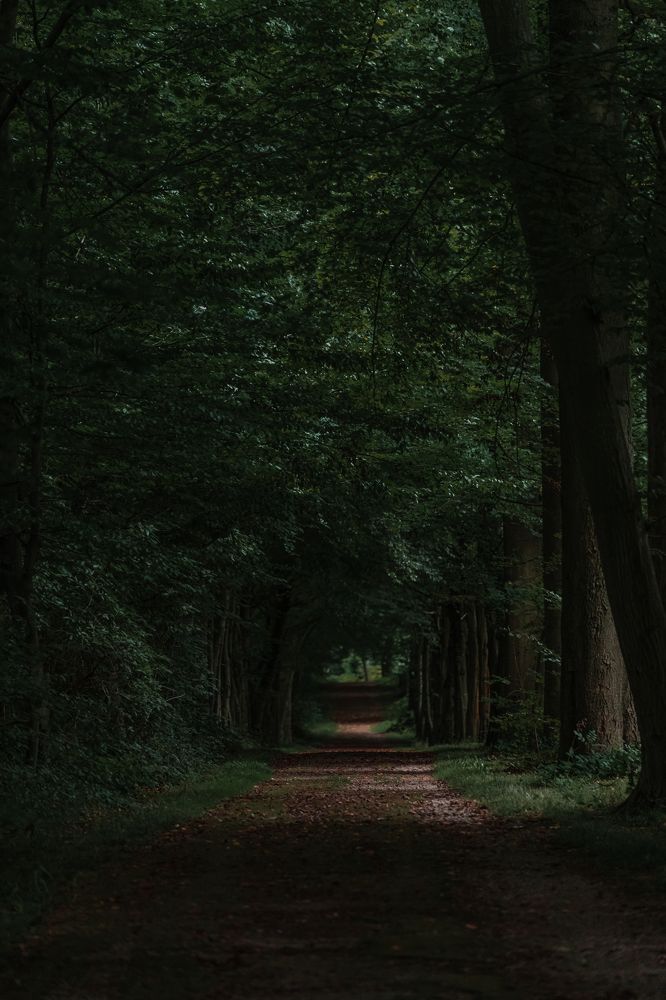 Photograph by Anya Lo