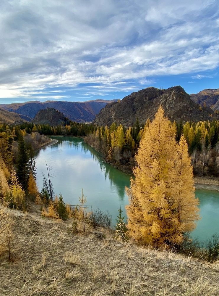 Photograph by Tatyana