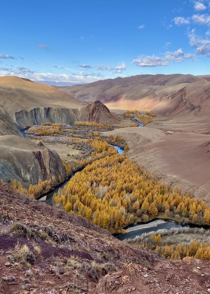 Photograph by Tatyana