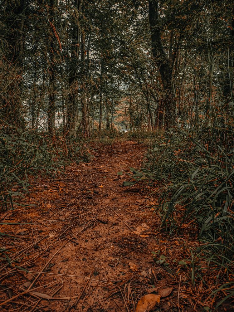 Фотография автора Alexander Titov