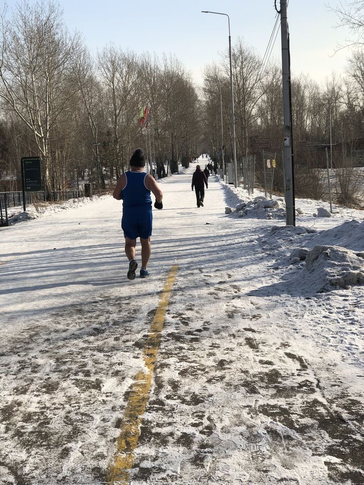 Фотография автора Светлана Гончарова