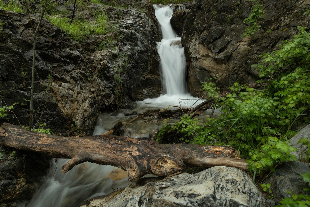 Фотография автора Van Gross