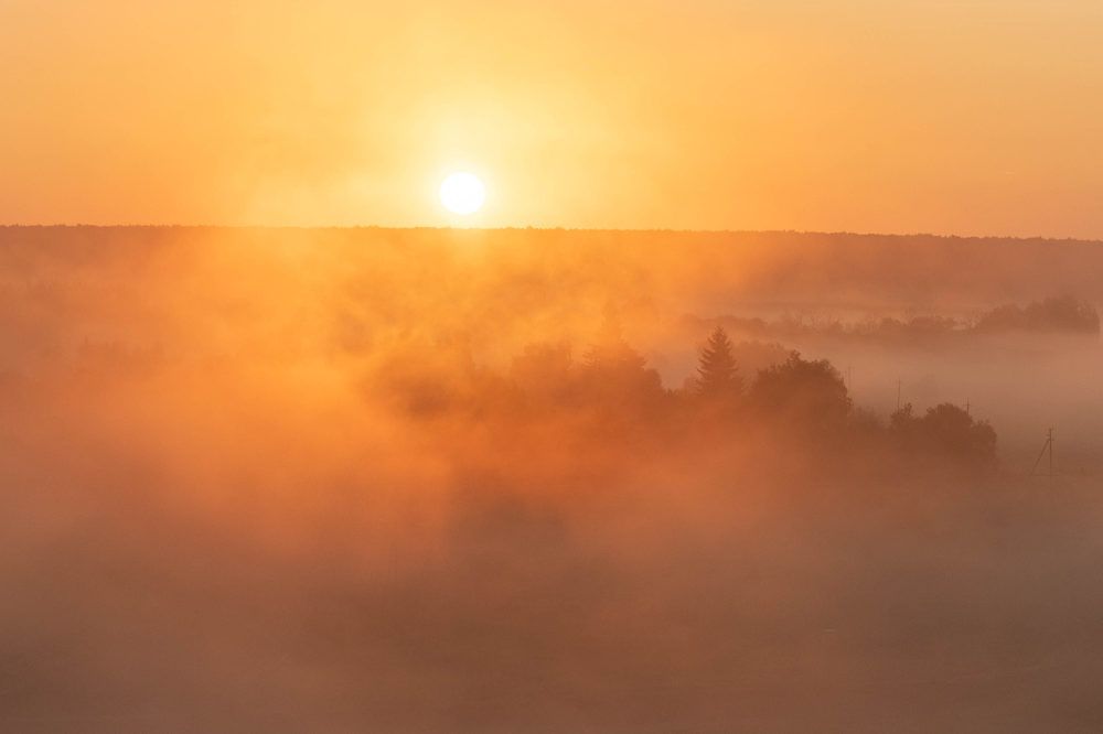 Фотография автора Van Gross