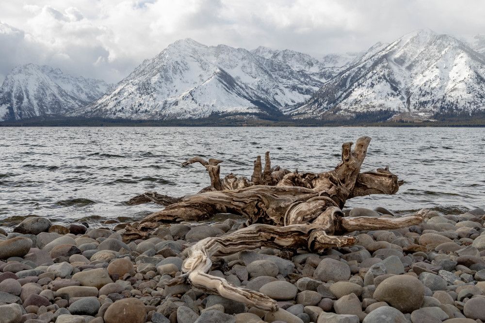 Фотография автора Van Gross