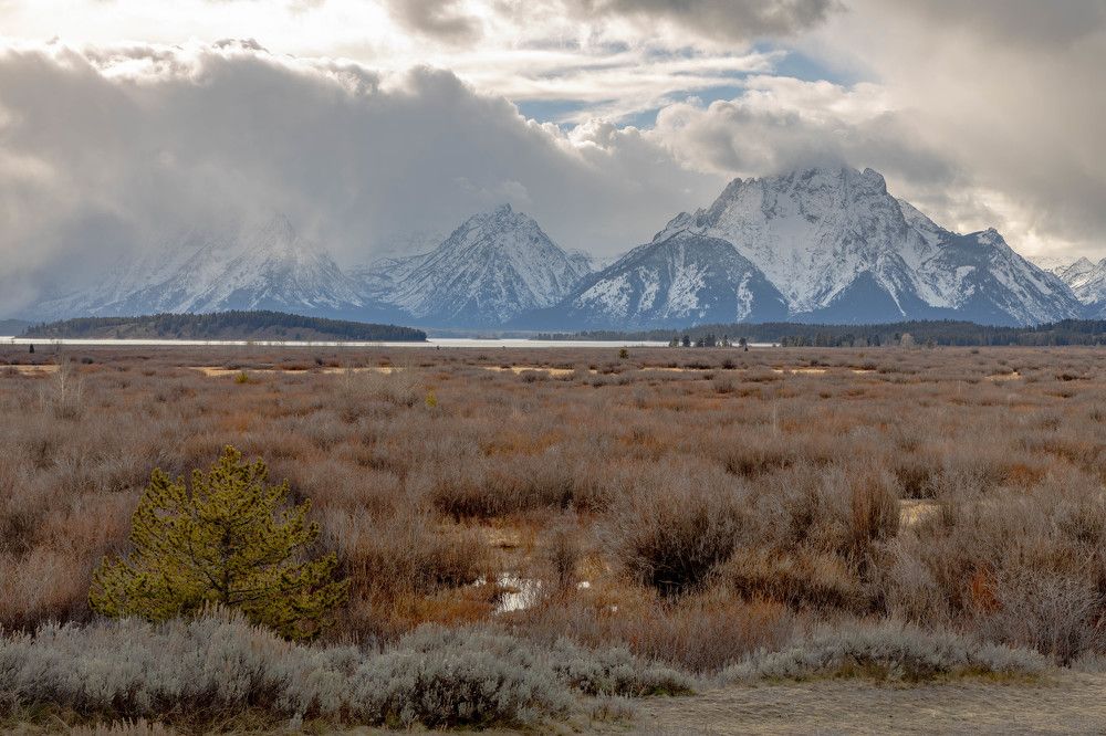 Фотография автора Van Gross