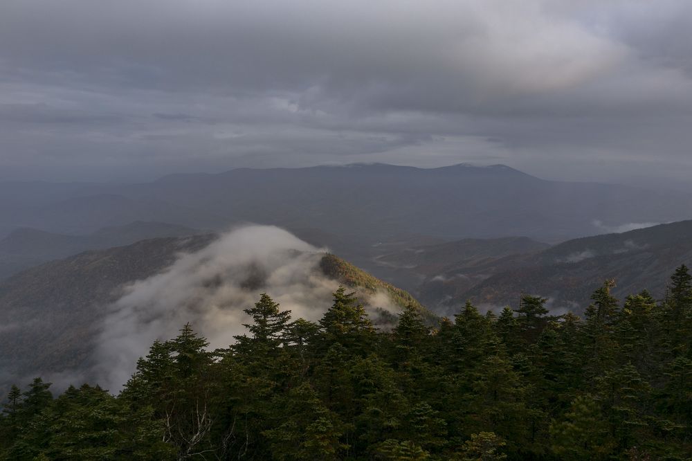 Photograph by ALEKSANDR KUZNETSOV