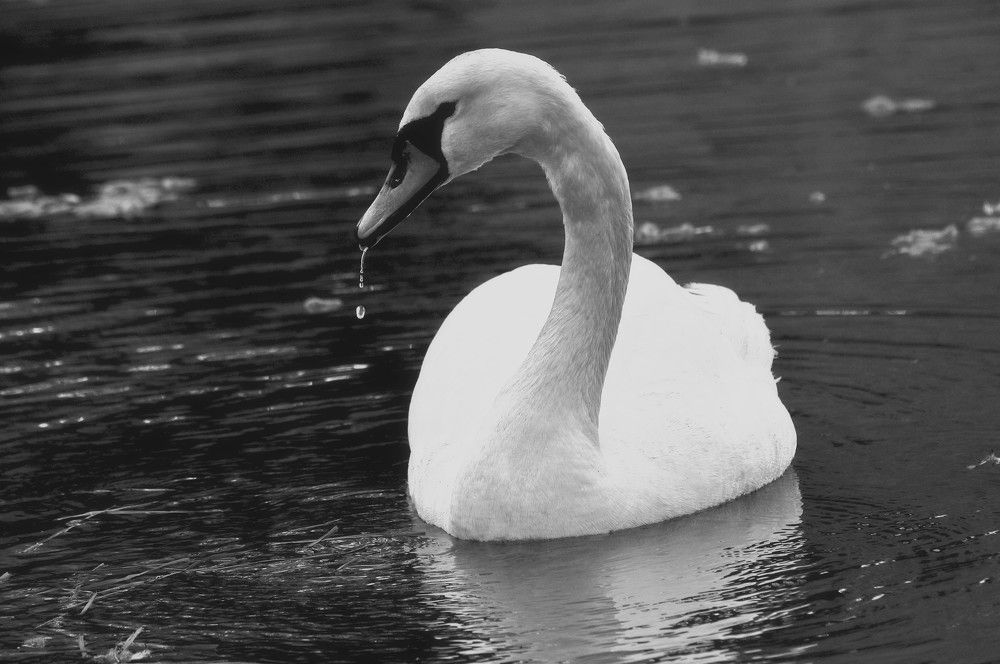 Фотография автора Игорь  Александрович  Куликов