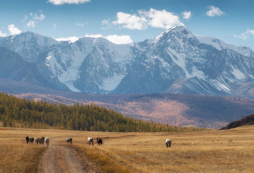 Photograph by Сергей