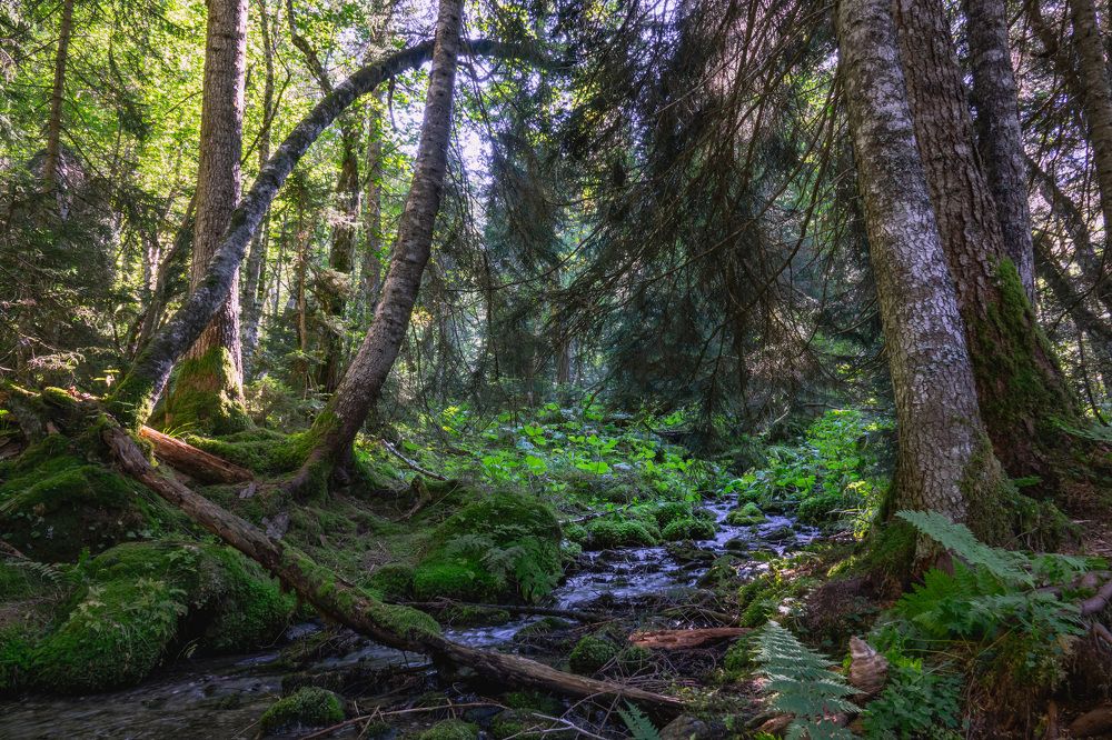 Photograph by Шишкалов Константин