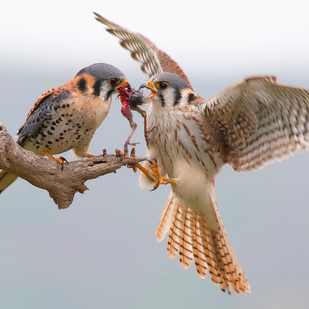 Photograph by Otto Acosta