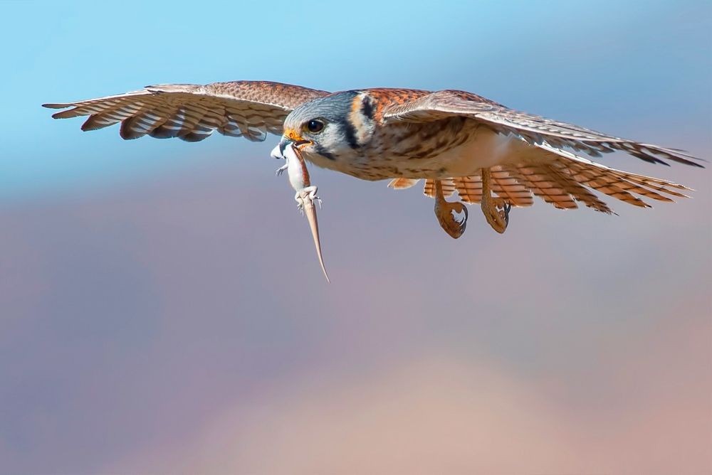 Photograph by Otto Acosta