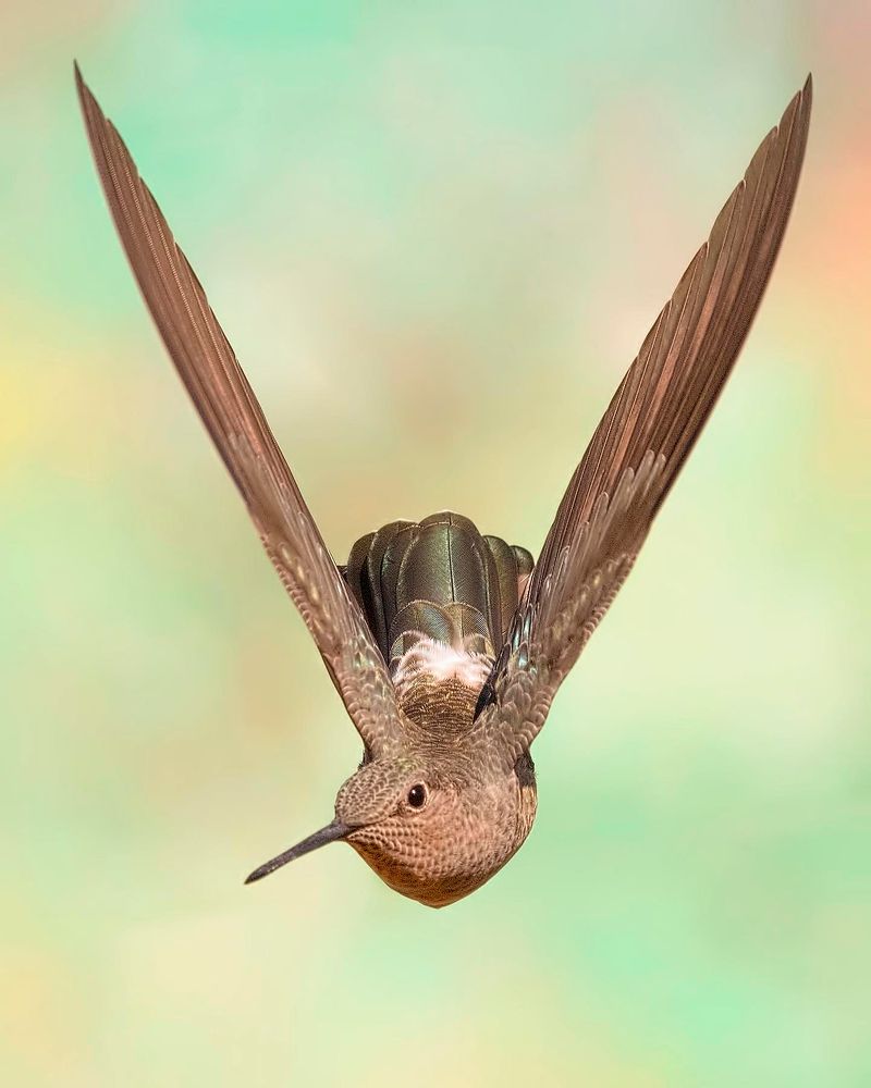 Photograph by Otto Acosta