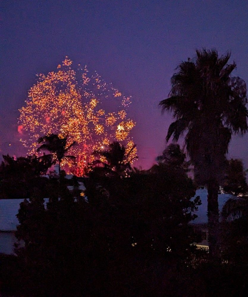 Photo #11246190
