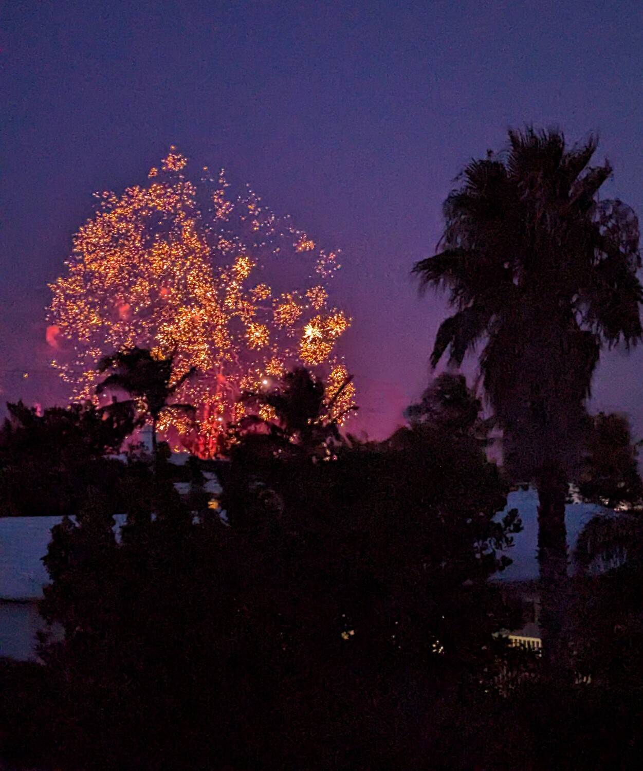 Photo #11246190