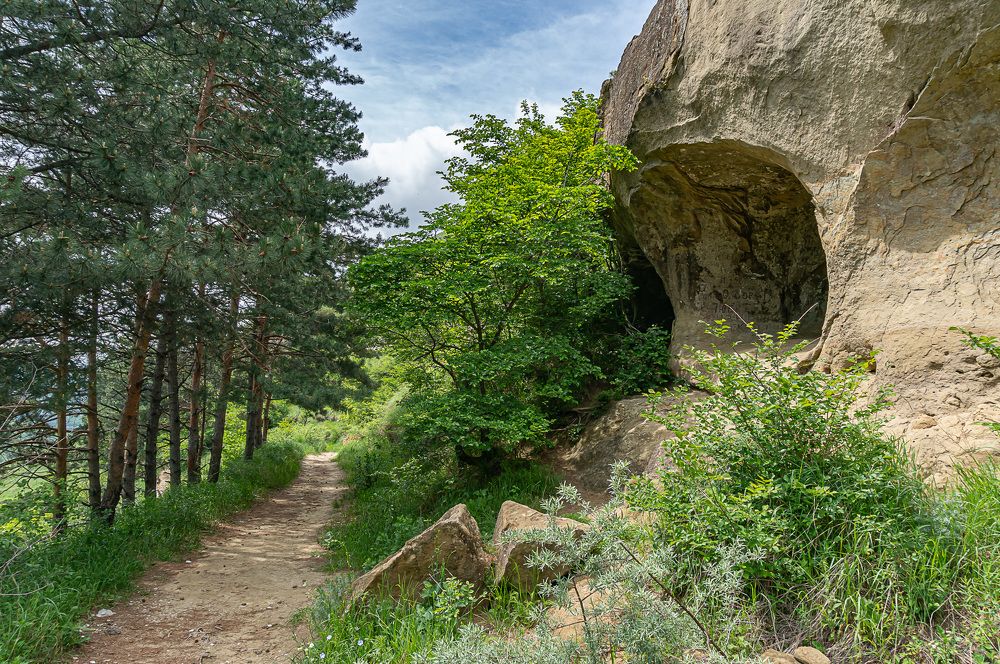 Фотография автора Николай Бологов