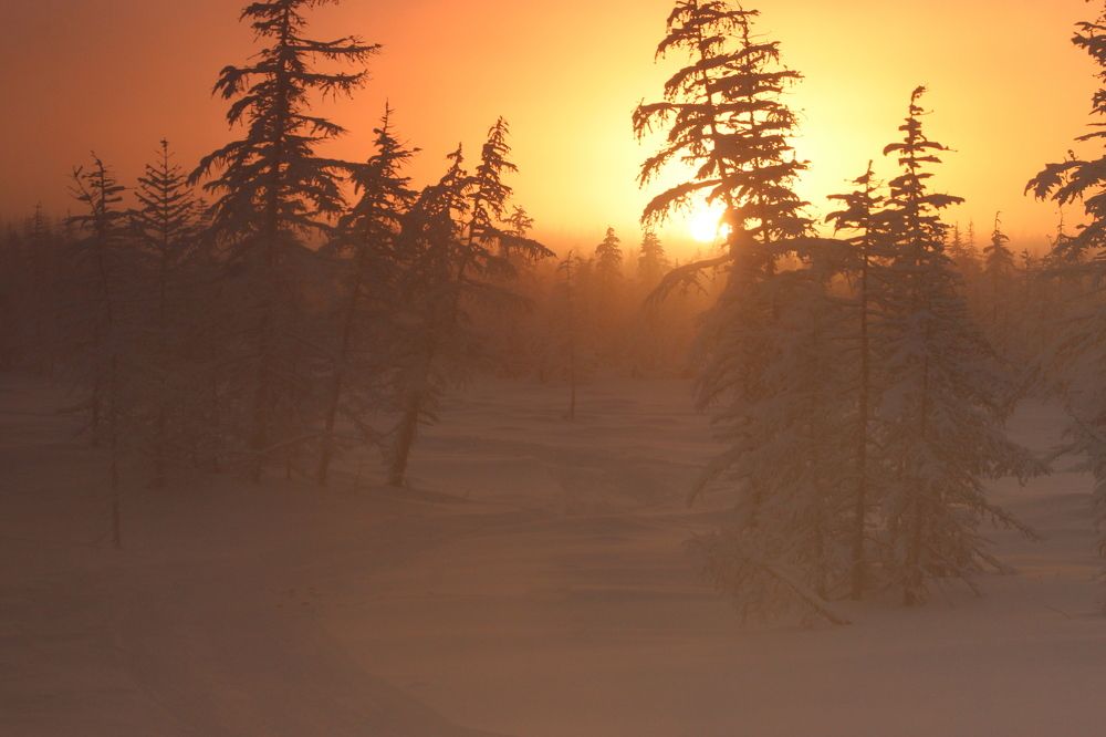 Photograph by Александр Велигура