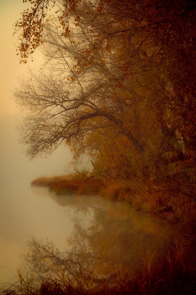 Photograph by Константин Белоногов