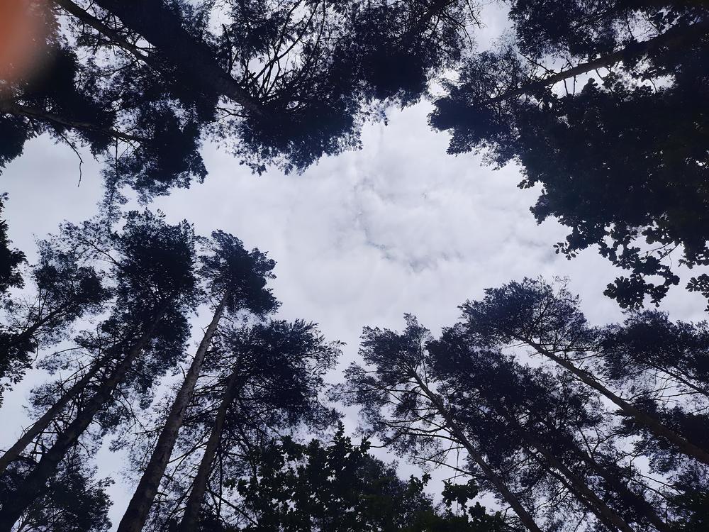 Photograph by Владимир Волков