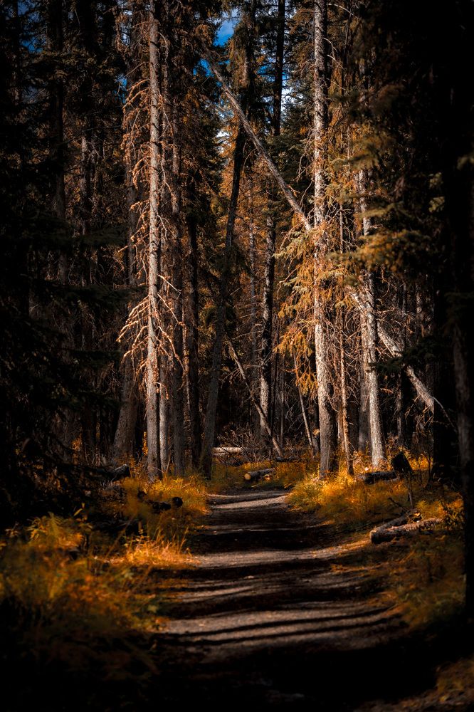 Photograph by Иван Котлобай