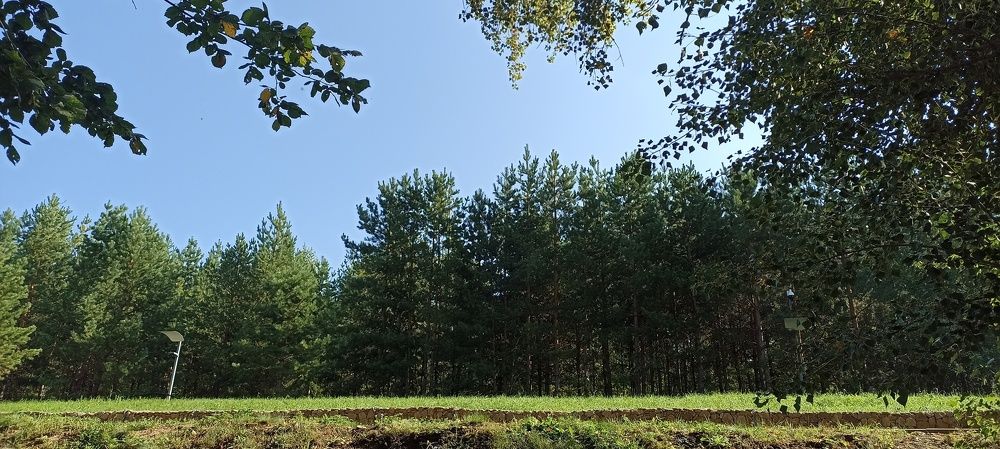 Photograph by Наталья Абдулова