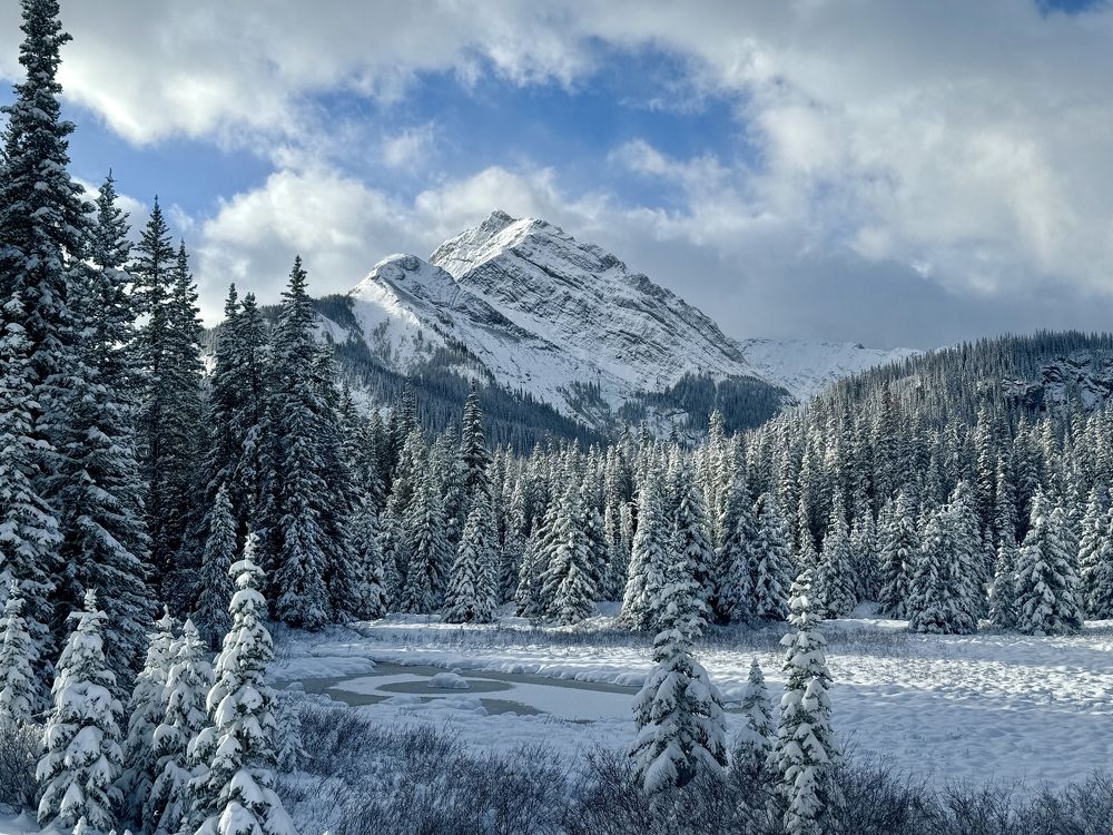 Photograph by Владимир Цветов