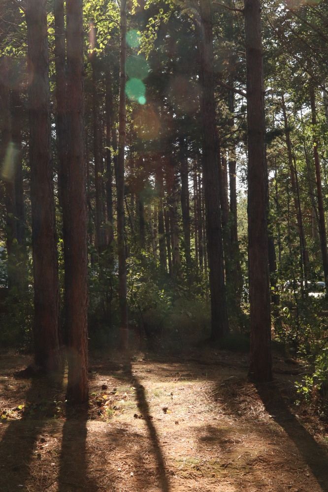 Photograph by Антонина Кузнецова