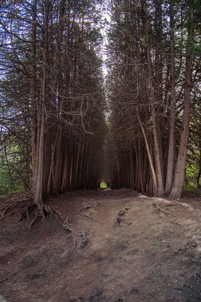 Photograph by Антонина Кузнецова