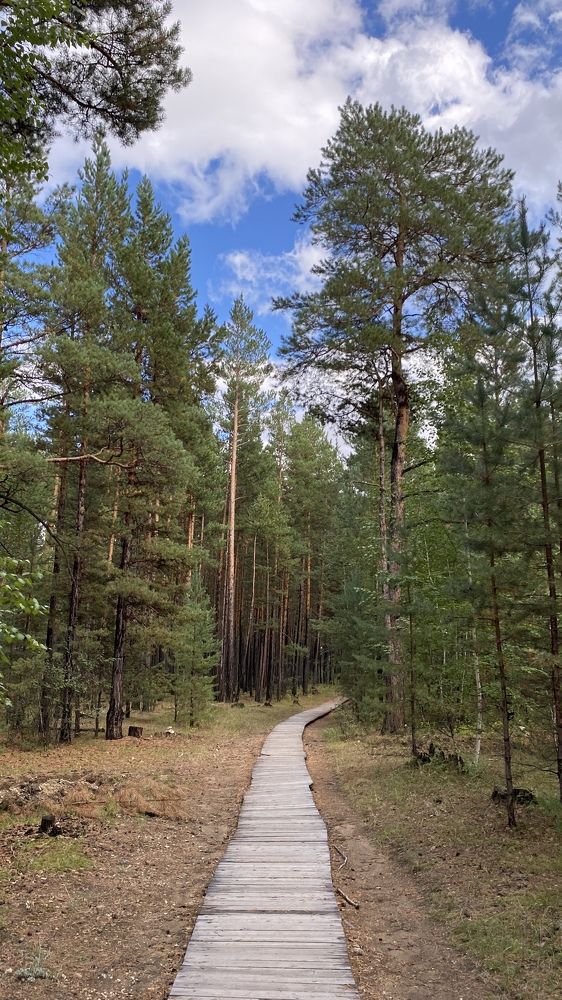 Photograph by Антонина Кузнецова