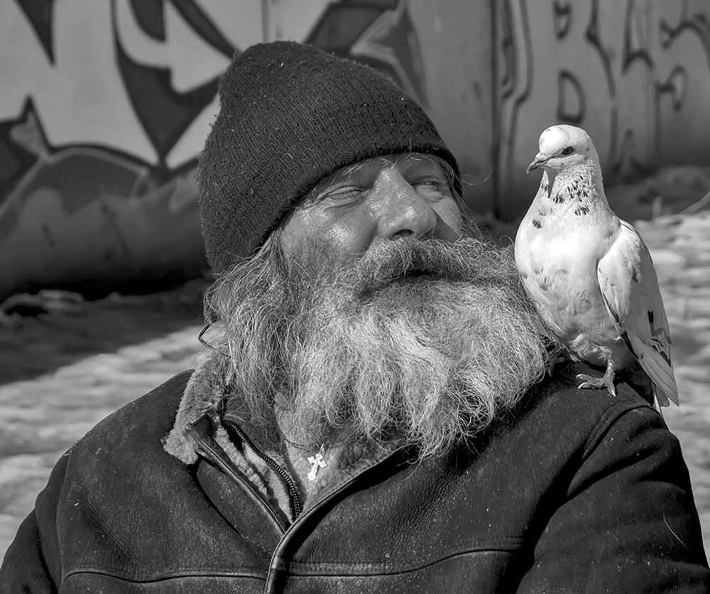 Фотография автора Елена Белькова