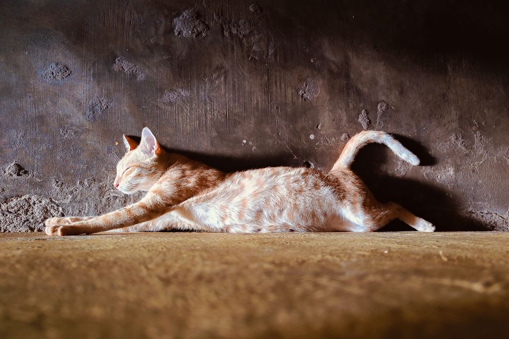 Photograph by John britto