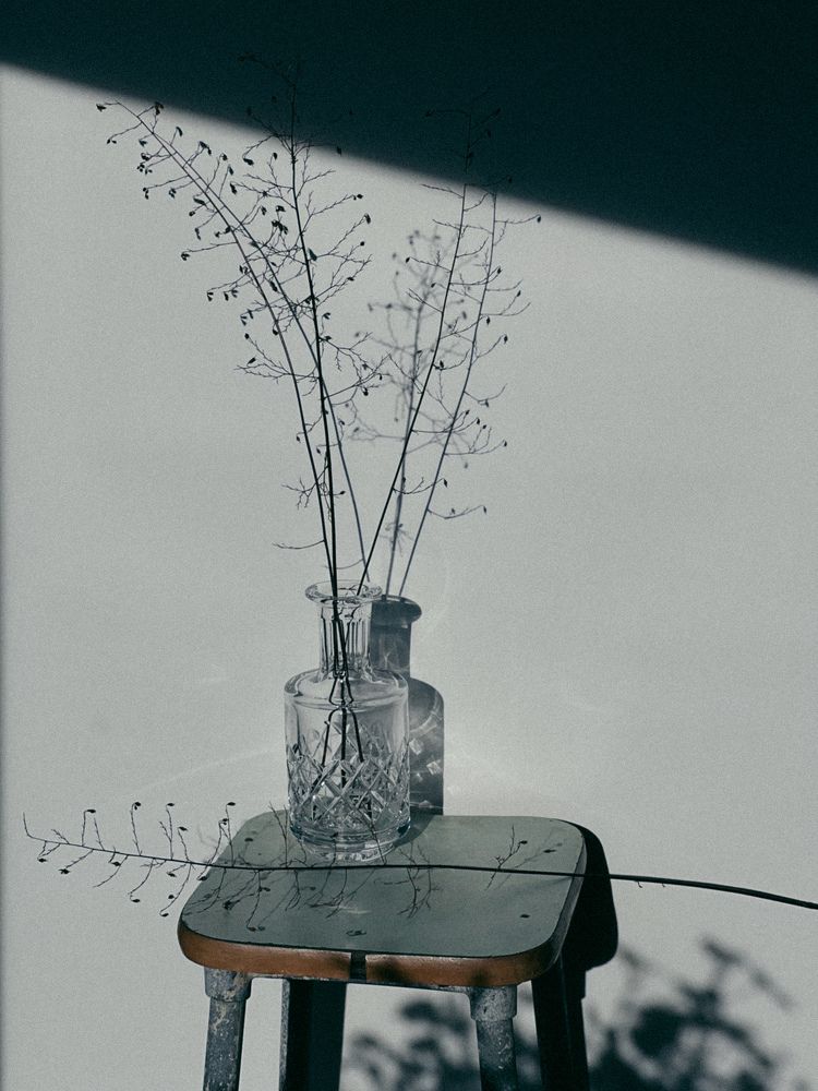 Фотография автора Юлия