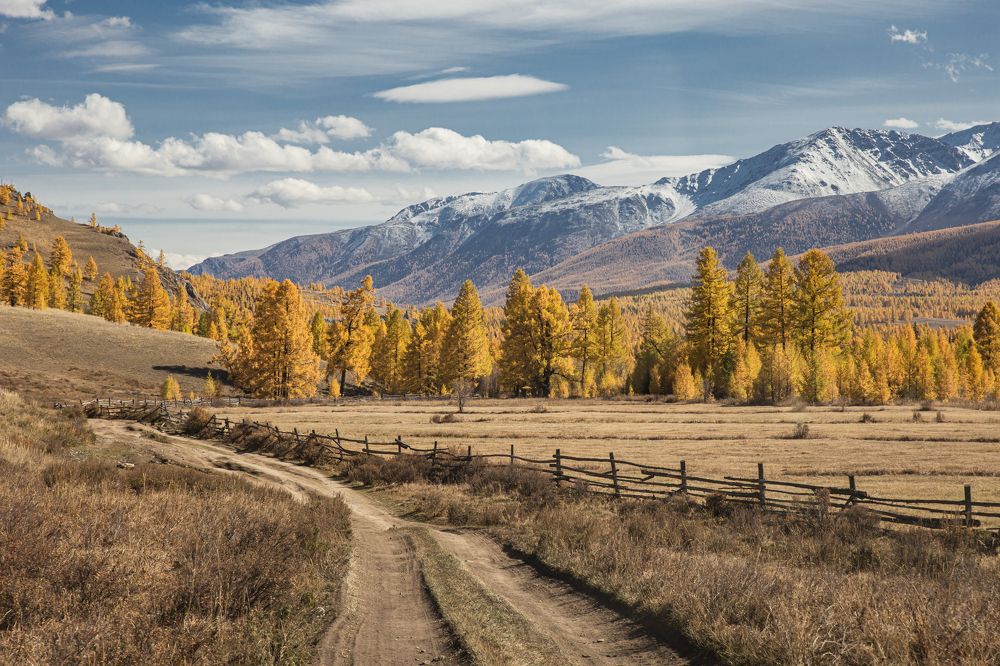 Photograph by Елена Павлова