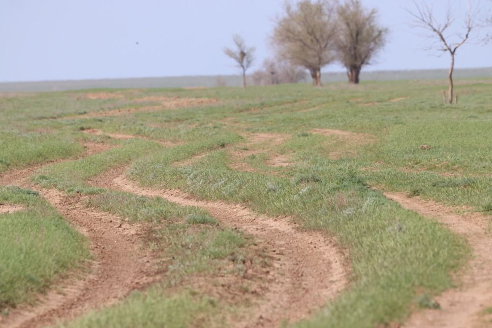 Photograph by Ольга Одаренко