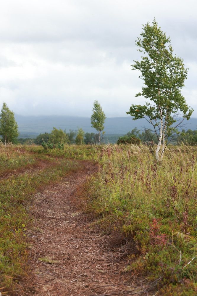 Photograph by Ольга Одаренко