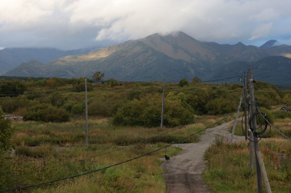 Photograph by Ольга Одаренко