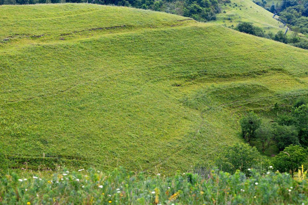 Photograph by Виталий Са