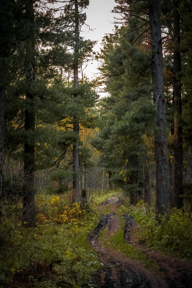 Photograph by Николай Головко