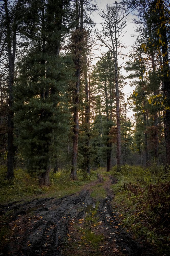 Photograph by Николай Головко