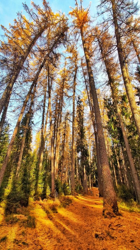 Photograph by Peshehod_ Plus