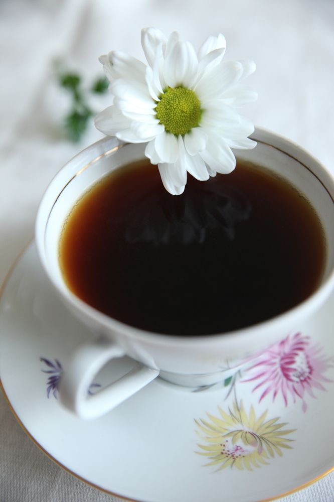 Photograph by Евфросиния Капустина