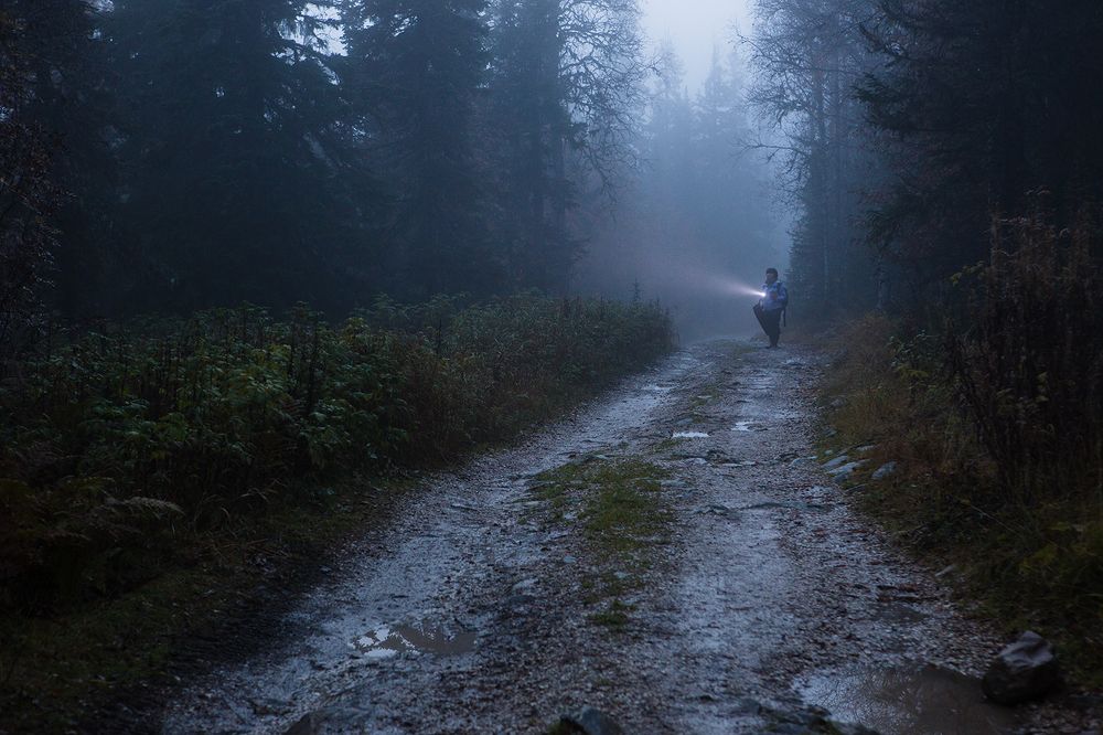 Photograph by Антон Селезнев