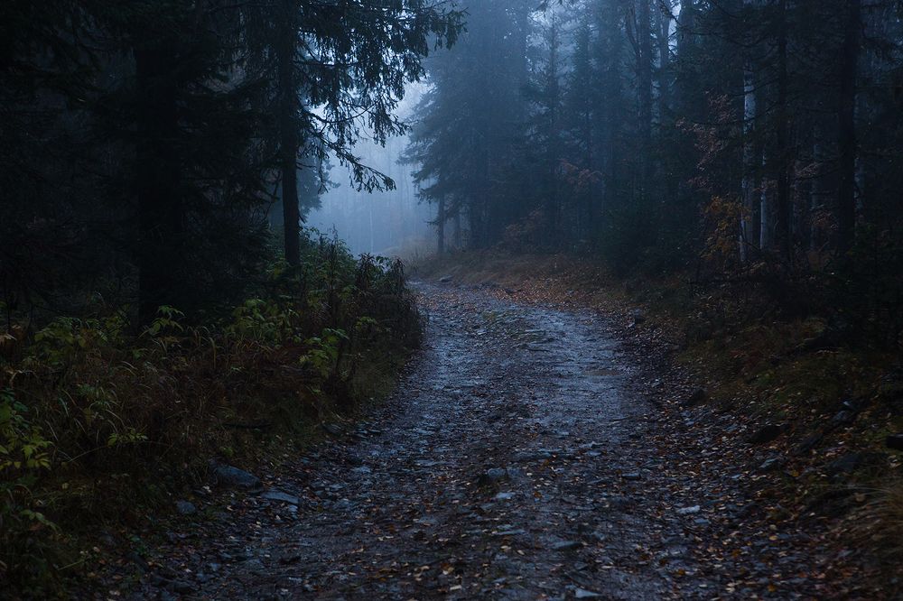 Photograph by Антон Селезнев